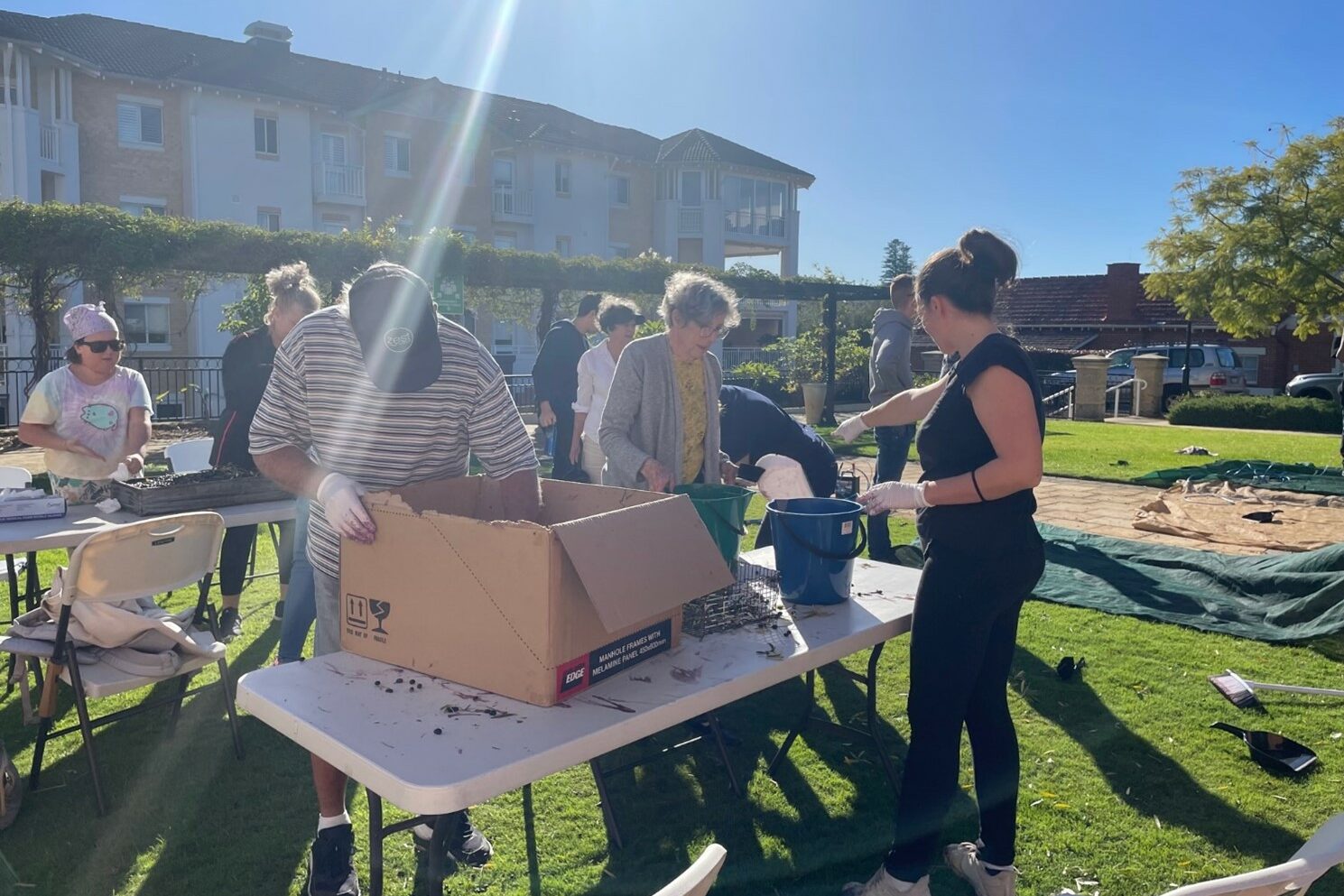 Volunteers sifting through olives