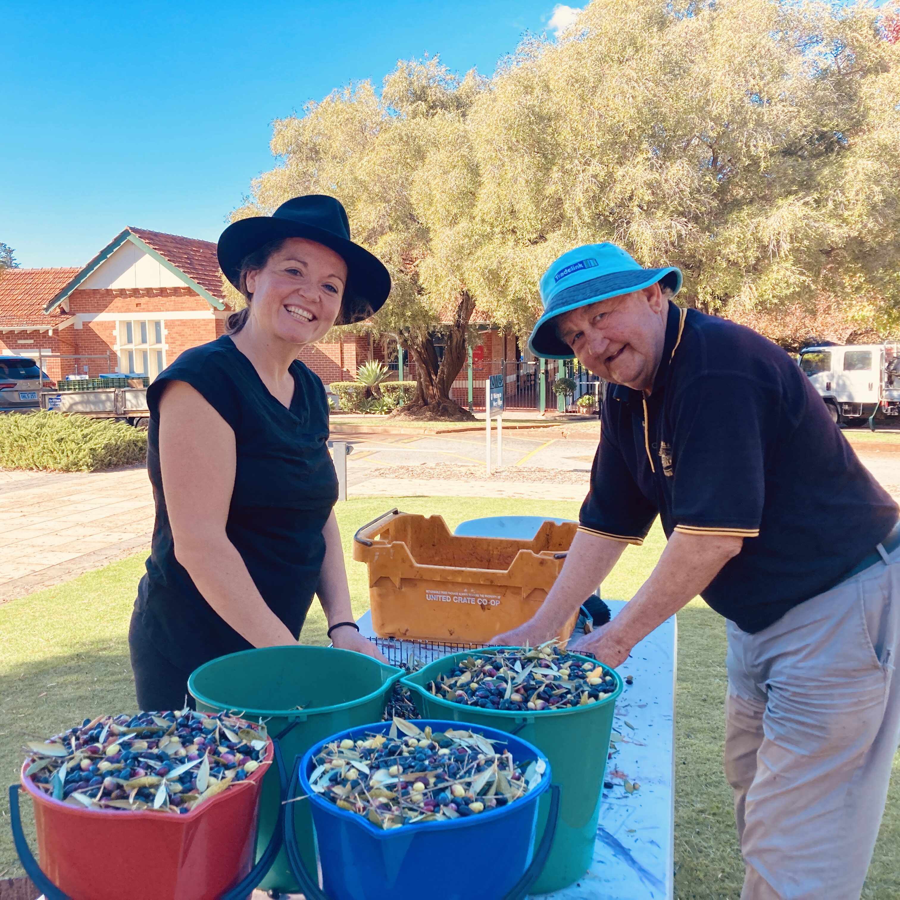 MercyCare volunteers sifting through buckets of olives 